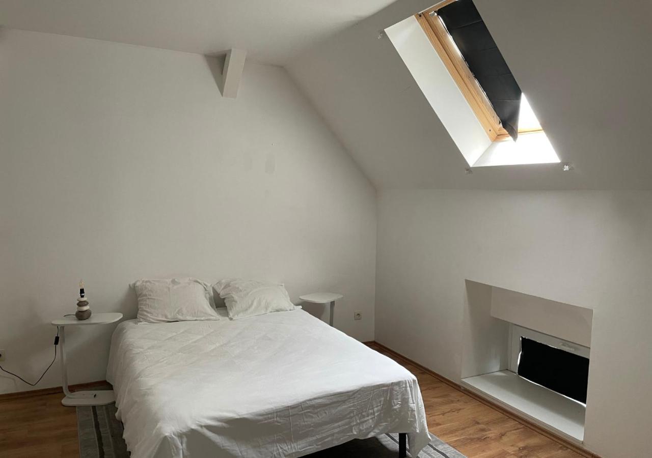 Le Wolf - 1 Chambre Dans Un T3 - 5Mn Tram Du Centre Ville - 15Mn Tram Gare Tgv Mulhouse - Wifi - Parking Extérieur photo